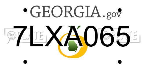 7LXA065 Georgia License Plate