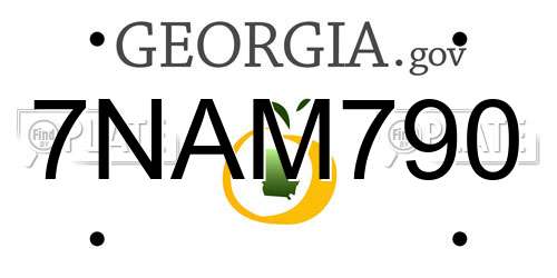 7NAM790 Georgia License Plate