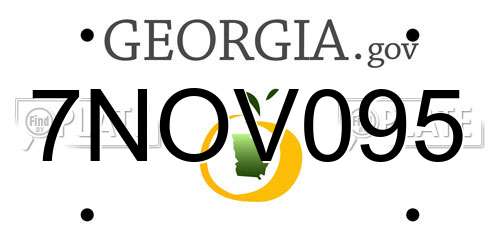 7NOV095 Georgia License Plate