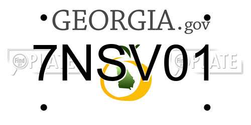 7NSV01 Georgia License Plate