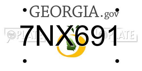 7NX691 Georgia License Plate