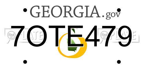 7OTE479 Georgia License Plate