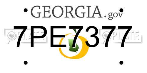 7PE7377 Georgia License Plate
