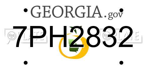 7PH2832 Georgia License Plate