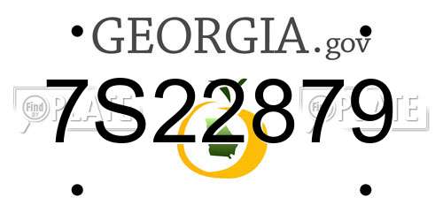 7S22879 Georgia License Plate