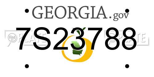 7S23788 Georgia License Plate