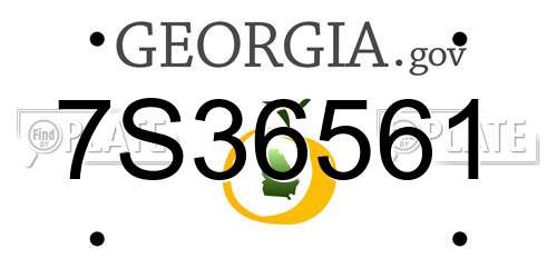7S36561 Georgia License Plate