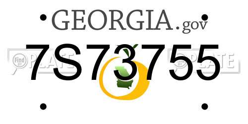 7S73755 Georgia License Plate