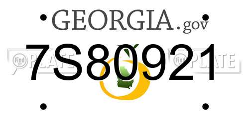 7S80921 Georgia License Plate