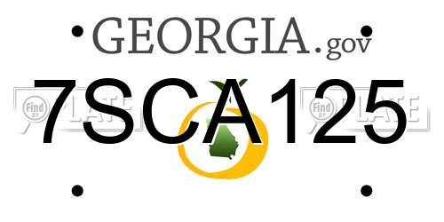 7SCA125 Georgia License Plate