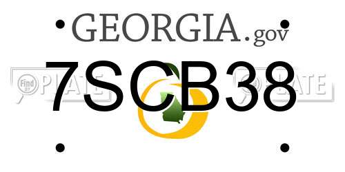 7SCB38 Georgia License Plate
