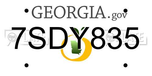 7SDY835 Georgia License Plate