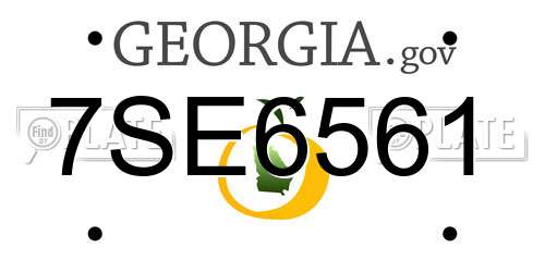 7SE6561 Georgia License Plate