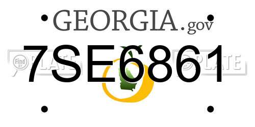 7SE6861 Georgia License Plate