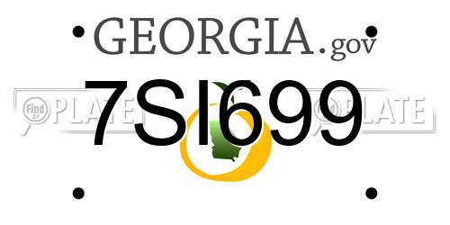 7SI699 Georgia License Plate