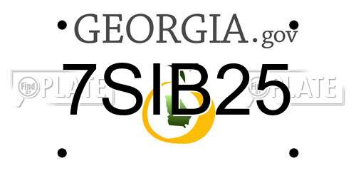 7SIB25 Georgia License Plate