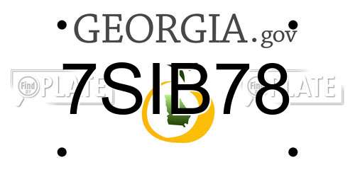 7SIB78 Georgia License Plate