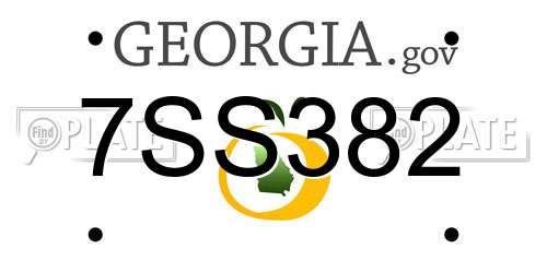 7SS382 Georgia License Plate