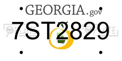7ST2829 Georgia License Plate