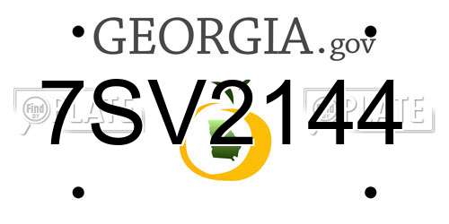 7SV2144 Georgia License Plate