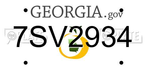 7SV2934 Georgia License Plate