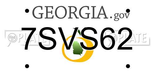 7SVS62 Georgia License Plate