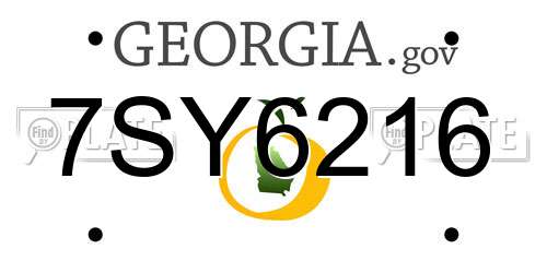 7SY6216 Georgia License Plate
