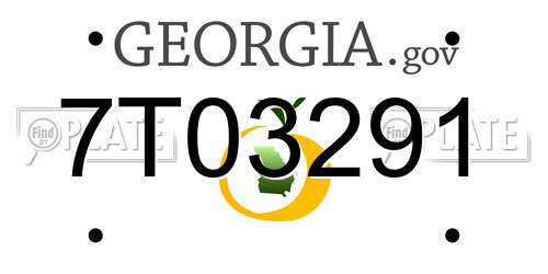 7T03291 Georgia License Plate