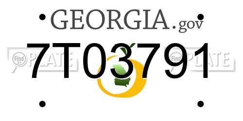 7T03791 Georgia License Plate
