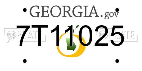 7T11025 Georgia License Plate