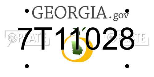 7T11028 Georgia License Plate