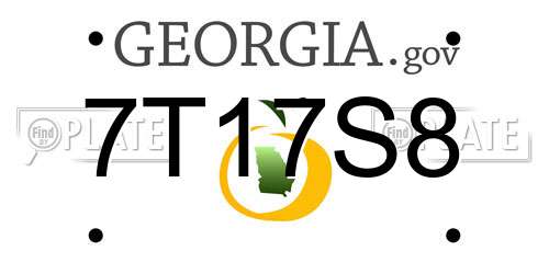 7T17S8 Georgia License Plate