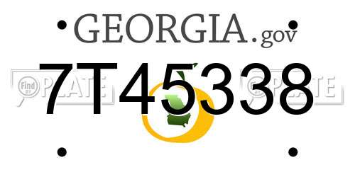 7T45338 Georgia License Plate