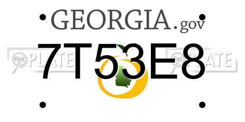 7T53E8 Georgia License Plate