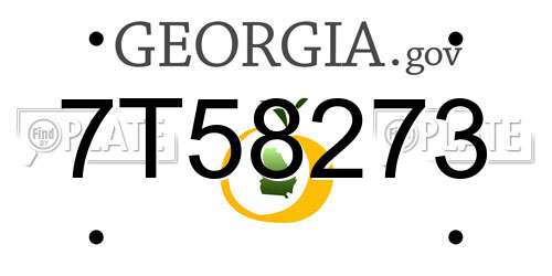 7T58273 Georgia License Plate