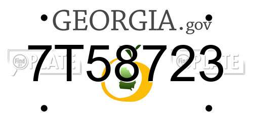 7T58723 Georgia License Plate