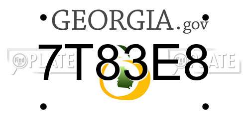 7T83E8 Georgia License Plate