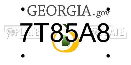 7T85A8 Georgia License Plate