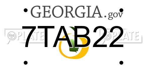 7TAB22 Georgia License Plate