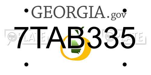 7TAB335 Georgia License Plate