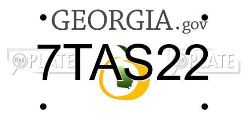 7TAS22 Georgia License Plate