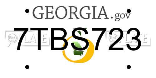 7TBS723 Georgia License Plate