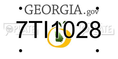 7TI1028 Georgia License Plate