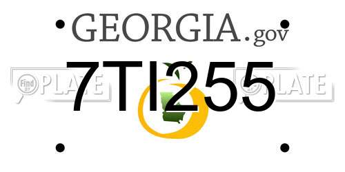 7TI255 Georgia License Plate