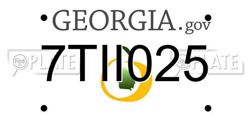 7TII025 Georgia License Plate