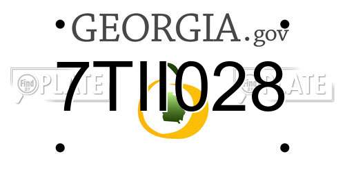 7TII028 Georgia License Plate