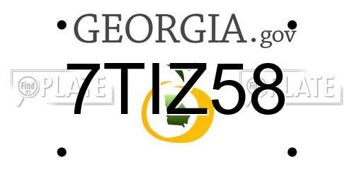 7TIZ58 Georgia License Plate