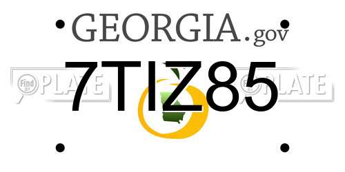 7TIZ85 Georgia License Plate