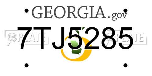 7TJ5285 Georgia License Plate