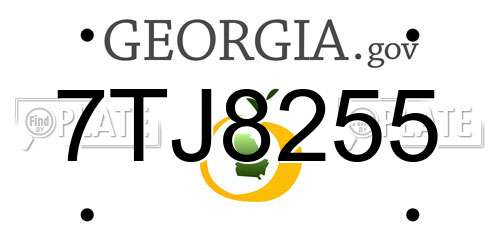 7TJ8255 Georgia License Plate